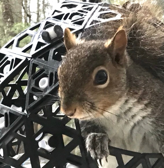 60 Page Inspirational Instruction STEM eBooklet